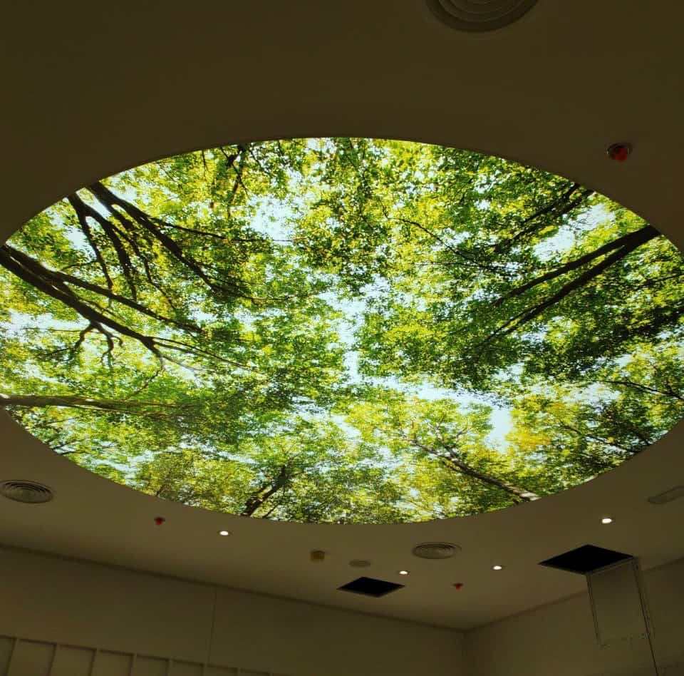 Large circular printed stretch ceiling featuring a nature-inspired forest design, demonstrating how decorative ceiling surfaces can become major architectural features. Large circular printed stretch ceiling featuring a nature-inspired forest design, demonstrating how decorative ceiling surfaces can become major architectural features.