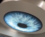 Stretch Ceiling Design with Printed Backlighting – Optical Store in Dubai