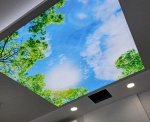 Can Stretch Ceilings Be Painted? Everything You Need to Know